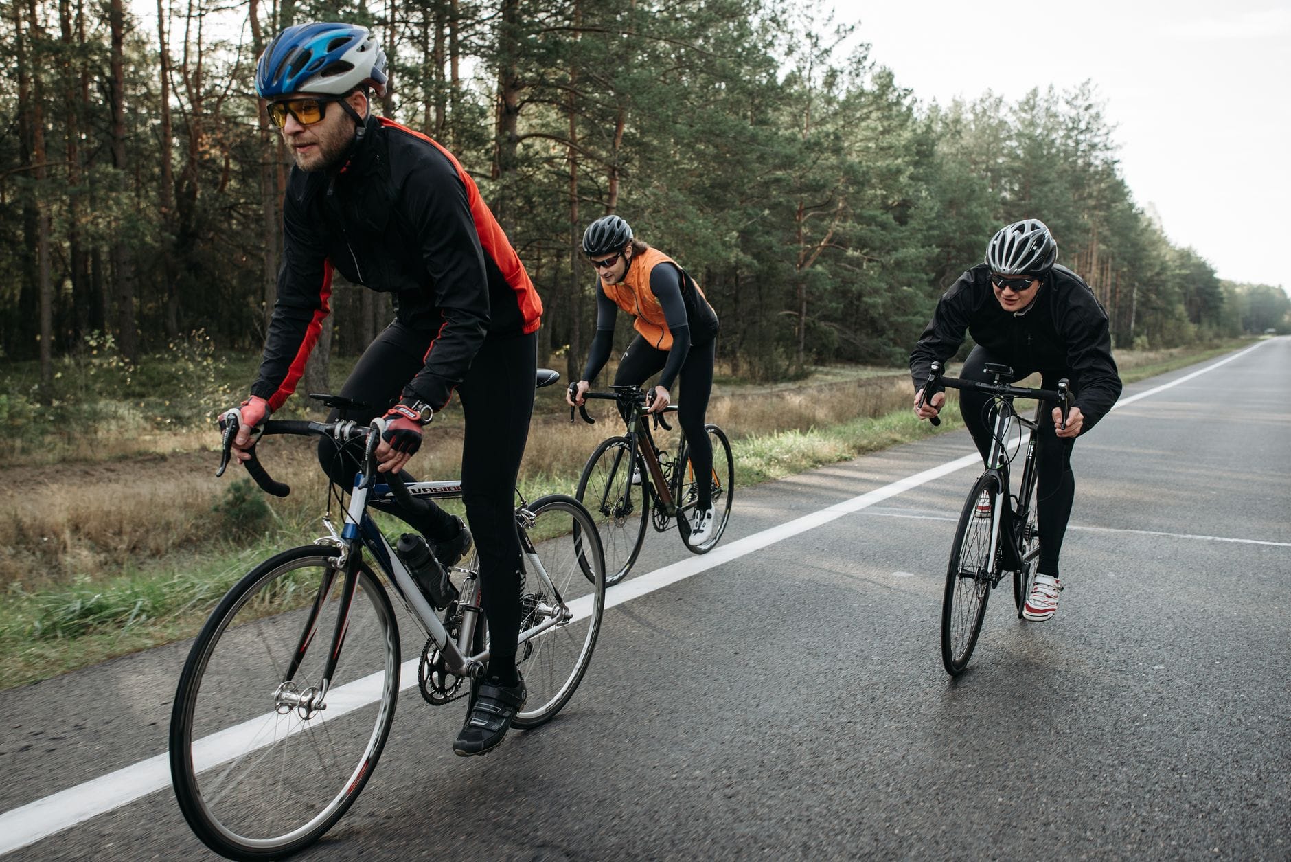 Trzech rowerzystów jedzie leśną drogą w ciągu dnia