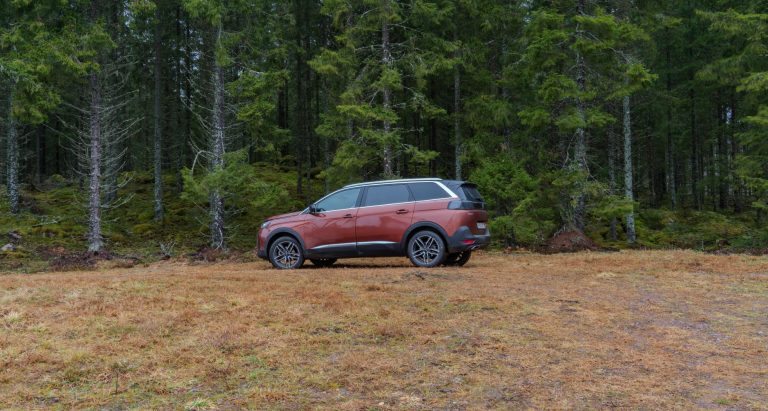Czerwony SUV na trawiastym terenie w lesie iglastym